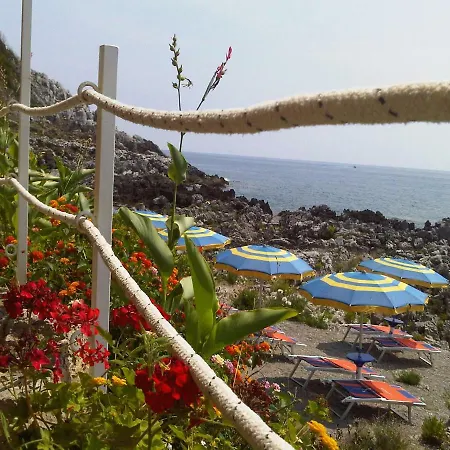 Armonia Holiday *