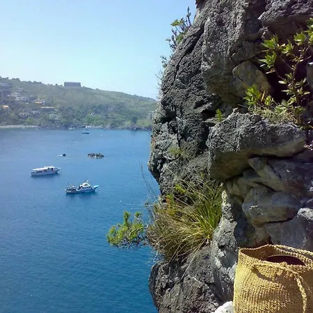 Armonia Holiday *